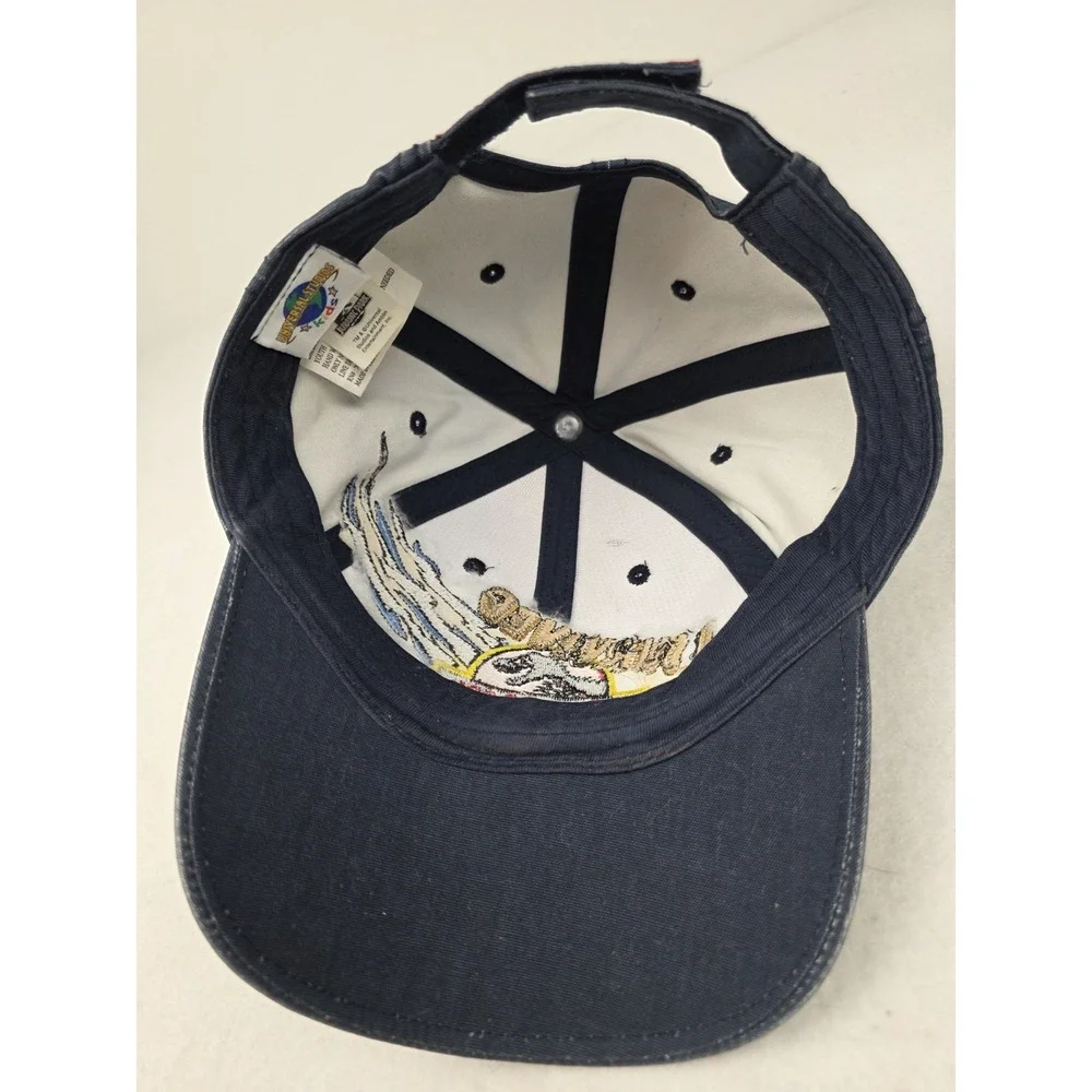 Vintage Universal‎ Studios Jurassic Park Hat I Survived Scratch Ombré Blue Kids
